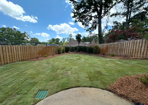 After — French drain + landscaping