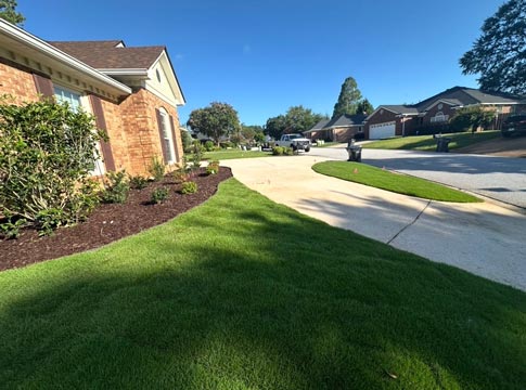 Landscape design project