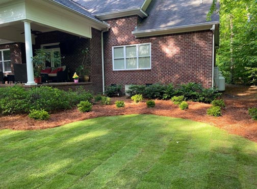 Landscape design project