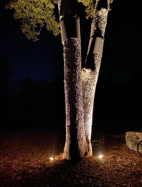 Outdoor lighting project