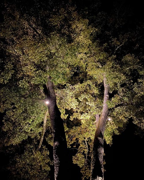 Outdoor lighting project