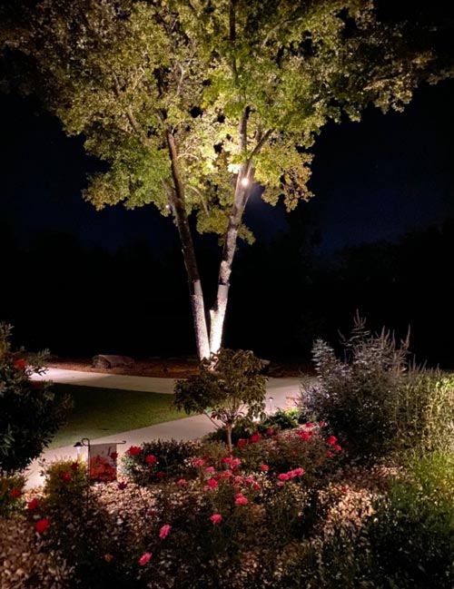 Outdoor lighting project