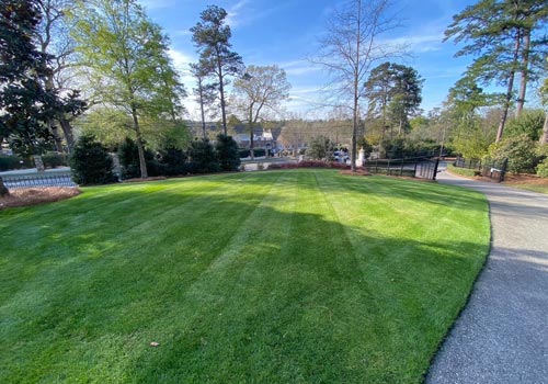 Lawn maintenance project