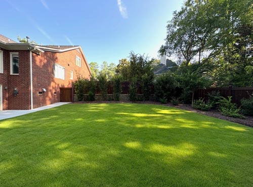 Lawn maintenance project