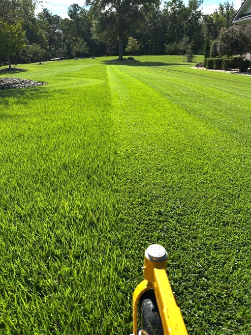 Lawn maintenance project