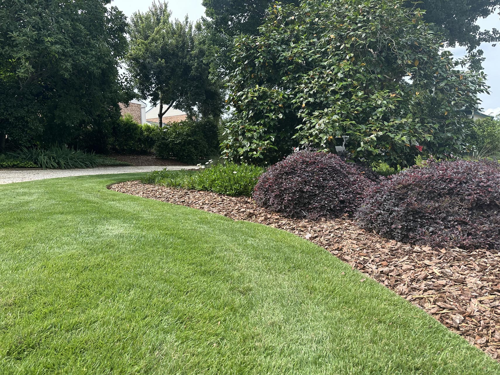 Lawn maintenance project