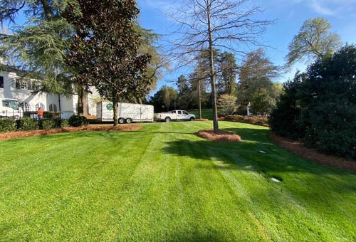 Lawn maintenance project
