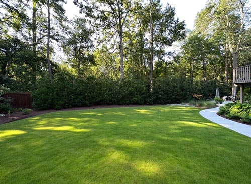 Perfectly manicured lawn with mowing stripes