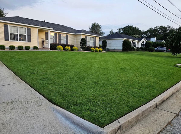 Lawn and landscape maintenance project